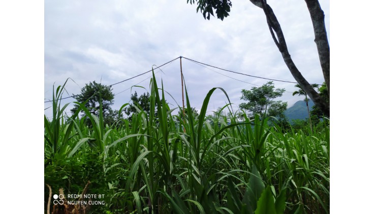 Cần bán lô đất nhỏ nhỏ xinh xinh rộng 700m2 có 200 tc tại Hợp Phong Cao Phong Hòa Bình. View siêu thoáng.