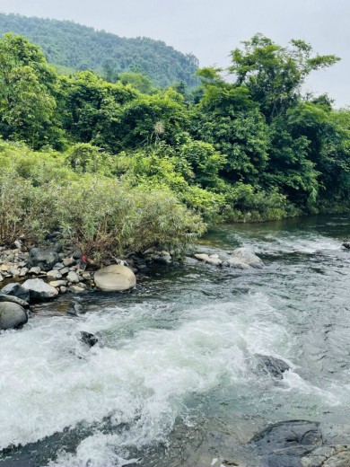 Bán diện tích thực sử dung 4000m tại Kim Bôi HB,bám đường to hơn 30m, giá hơn 2 tỷ