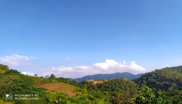 Cần bán 2000m đất trồng cây lâu năm tại xóm Mừng Cao Phong được ví như cảnh sắc Tam Đảo Hòa Bình