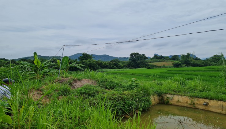 Gia đình cần bán siêu phẩm bám suối tại Cao Phong Hòa Bình