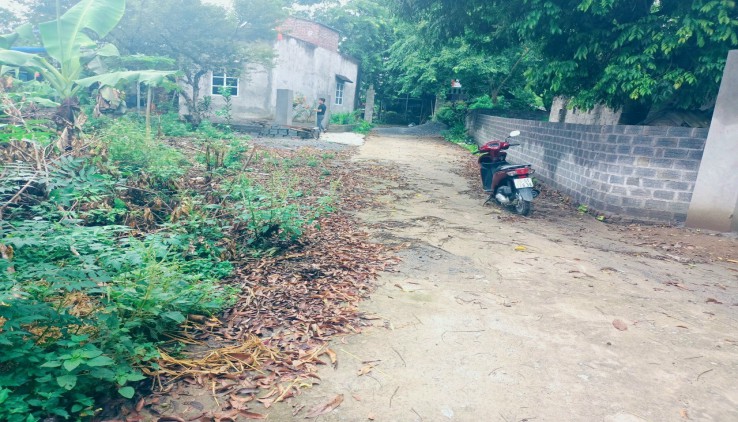 Bán Gấp 344M Có 100M ont Còn Lại Là Đất Vườn Tại Hợp Hòa Lương Sơn