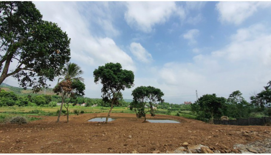 Bán 6200m đất thổ cư nghỉ dưỡng View cánh đồng, có ao to trong đất giá rẻ tại Hòa Sơn, Lương Sơn, Hòa Bình