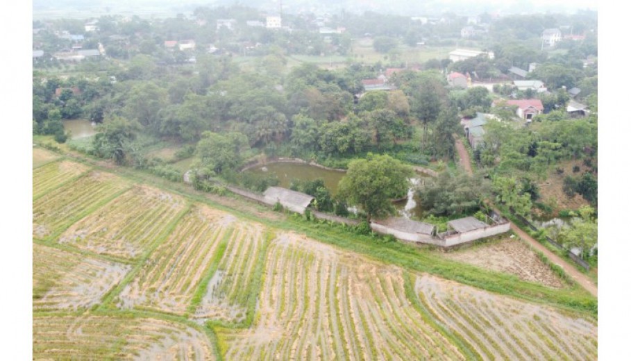 BÁN KHUÔN VIÊN VÂN HÒA BA VÌ 4459M CÓ 400M ONT SẴN NHÀ SÀN CÓ AO RỘNG VIEW CÁNH ĐỒNG, NÚI.