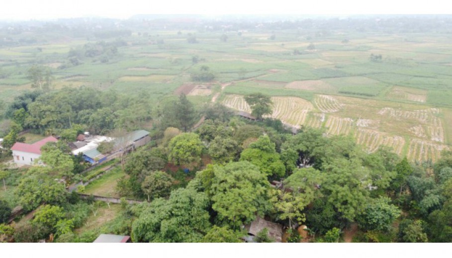 BÁN KHUÔN VIÊN VÂN HÒA BA VÌ 4459M CÓ 400M ONT SẴN NHÀ SÀN CÓ AO RỘNG VIEW CÁNH ĐỒNG, NÚI.