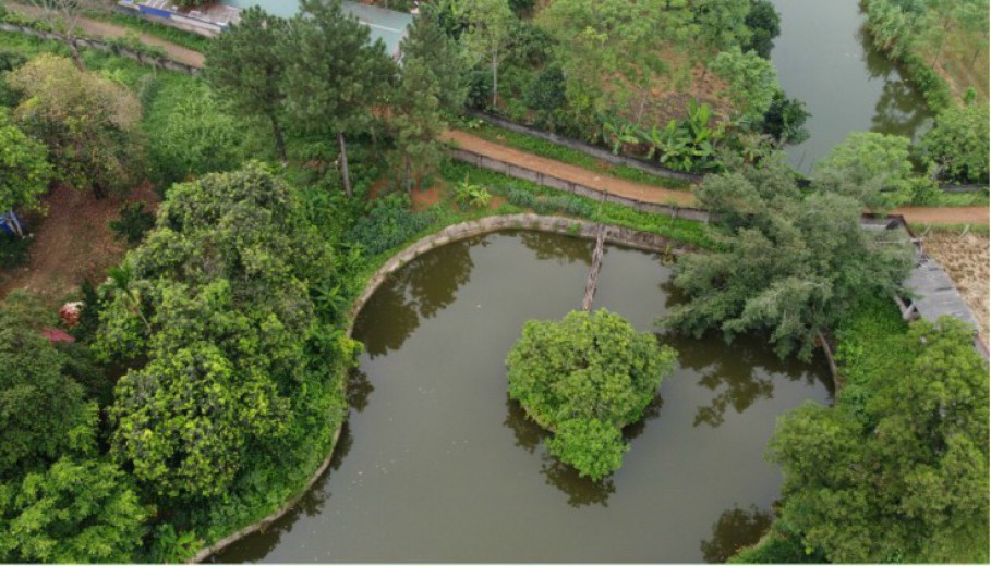 BÁN KHUÔN VIÊN VÂN HÒA BA VÌ 4459M CÓ 400M ONT SẴN NHÀ SÀN CÓ AO RỘNG VIEW CÁNH ĐỒNG, NÚI.