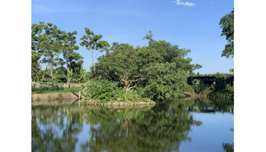 BÁN KHUÔN VIÊN VÂN HÒA BA VÌ 4459M CÓ 400M ONT SẴN NHÀ SÀN CÓ AO RỘNG VIEW CÁNH ĐỒNG, NÚI.