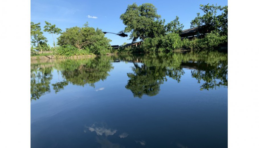 BÁN KHUÔN VIÊN VÂN HÒA BA VÌ 4459M CÓ 400M ONT SẴN NHÀ SÀN CÓ AO RỘNG VIEW CÁNH ĐỒNG, NÚI.