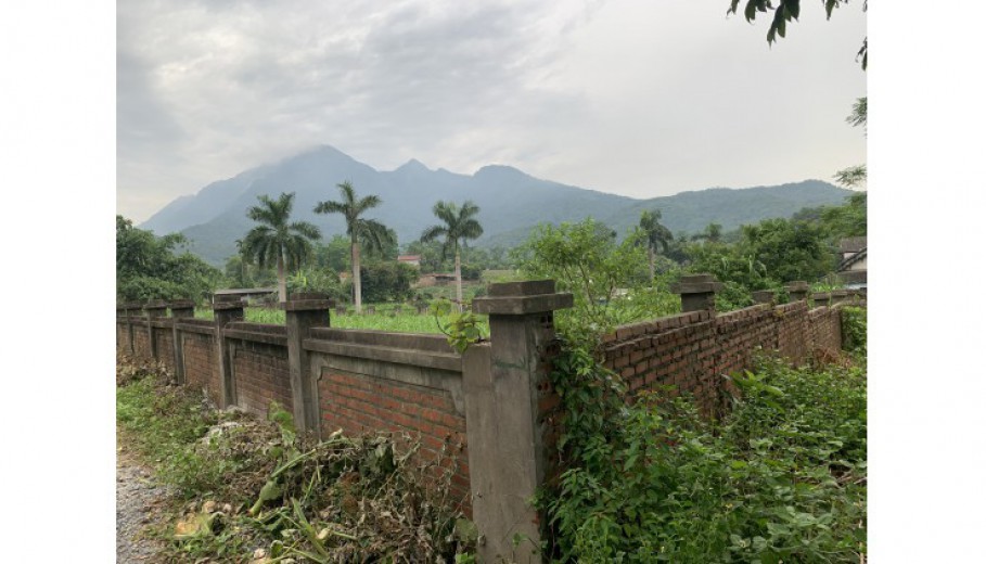 BÁN ĐẤT VÂN HÒA BA VÌ LÔ GÓC 1850M GIÁ CHỈ 1,XTR/M VUÔNG VẮN VIEW CAO THOÁNG.