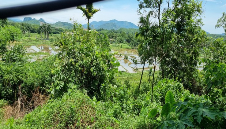 Bán 1000m View cánh đồng thoáng mát tại Lương Sơn, Hoà Bình giá siêu rẻ!