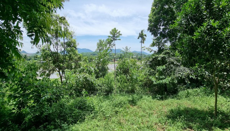 BÁN 1300M VIEW CÁNH ĐỒNG TẠI CƯ YÊN - LƯƠNG SƠN-HB.