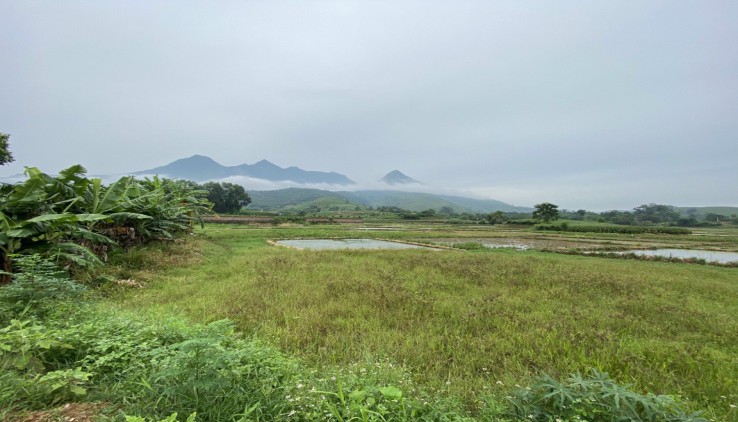 Bán đất xã Minh Quang Ba vì Hà Nội diện tich rộng 3600m2.