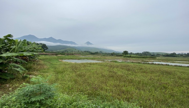 Bán đất xã Minh Quang Ba vì Hà Nội diện tich rộng 3600m2.