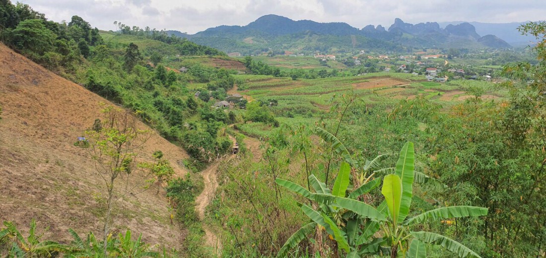 Bán đất Cao Phong, Hòa Bình, 1,9ha có thổ cư, đất vườn và rsx, view thung lũng, bám đường bê tông.