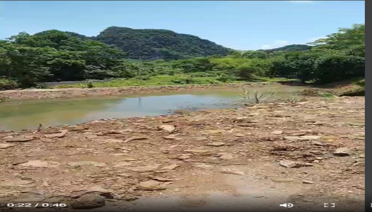 Bán 8000m có 400m thổ cư có suối trong đất tại Lương Sơn