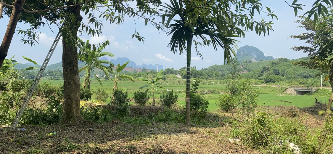 Bán đất Lương Sơn, Hòa Bình 3634m có 400m thổ cư, sẵn khuôn viên, view cánh đồng giá nhỉnh 6 tỷ