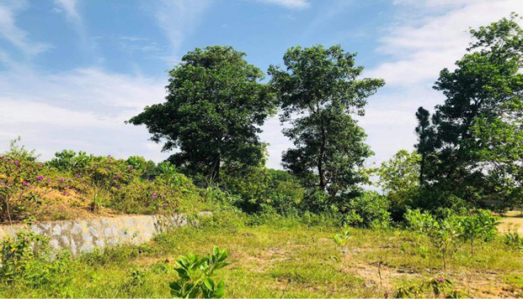 Bán đất Lương Sơn giá dành cho nhà đầu tư mùa covid