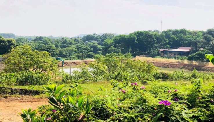 Bán đất Lương Sơn giá dành cho nhà đầu tư mùa covid