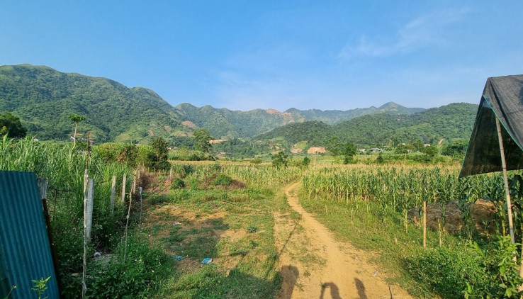 Siêu Đẹp Lô Đất 3500M Bám Suối,Bám Đường Bê Tông 70m Tại Cao Phong - Hòa Bình
