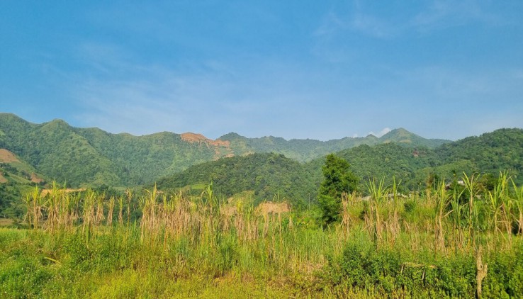 Siêu Đẹp Lô Đất 3500M Bám Suối,Bám Đường Bê Tông 70m Tại Cao Phong - Hòa Bình