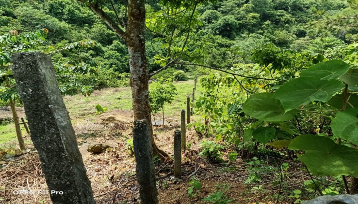 BÁN SIÊU PHẨM 1600M BÁM SUỐI,CẠNH KHU DU LỊCH VÀ RESORT TẠI KỲ SƠN - HÒA BÌNH