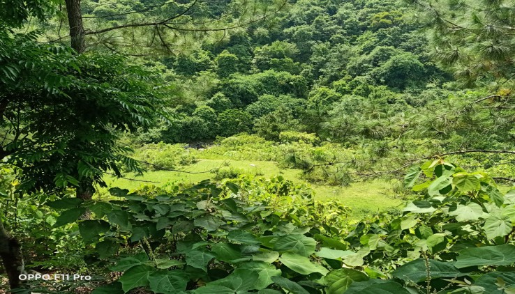 BÁN SIÊU PHẨM 1600M BÁM SUỐI,CẠNH KHU DU LỊCH VÀ RESORT TẠI KỲ SƠN - HÒA BÌNH