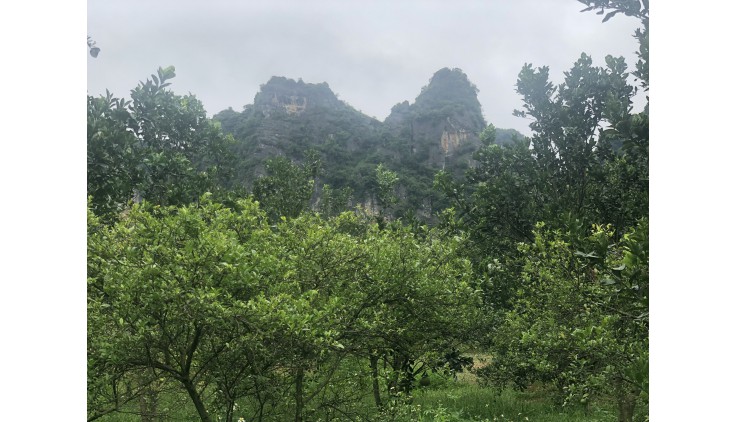 Bán đất Cao Phong diện tích 5400m có 400 thổ cư thế đất phẳng đẹp view thoáng mát với những dãy núi đá đẹp mê hồn