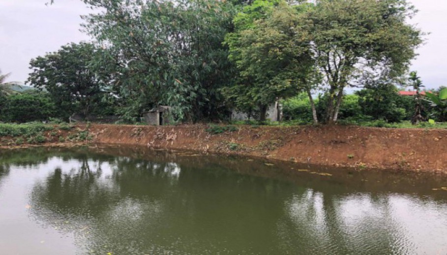 Cần chuyển nhượng gấp 5732m2 đất làm nghỉ dưỡng sinh thái tại Lương Sơn Hòa Bình.