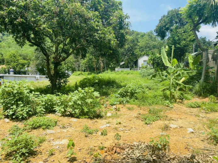 Bán 2248m.400ont đất gần sân Gold Phượng Hoàng tại Lâm Sơn - Lương Sơn -Hòa Bình