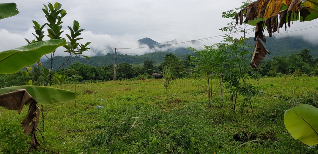 Bán gấp mảnh đất 1360m Full Thổ cư View núi non cực đẹp tại Kim Bôi - Hòa Bình