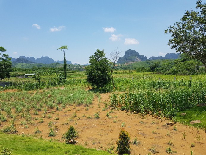 Bán đất Lương Sơn, Hòa Bình 4067m có 400m thổ cư, có sẵn khuân viên hoàn thiện, giá chỉ hơn 1tr/m