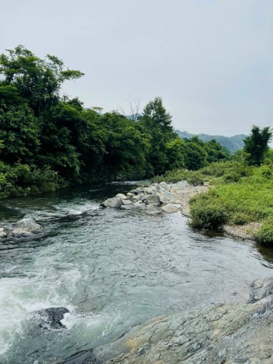 Bán diện tích thực sử dung 4000m tại Kim Bôi HB,bám đường to hơn 30m, giá hơn 2 tỷ