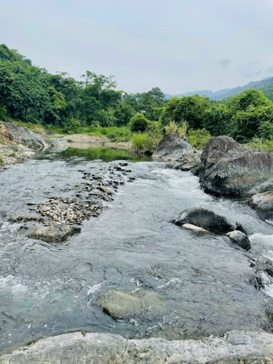 Bán diện tích thực sử dung 4000m tại Kim Bôi HB,bám đường to hơn 30m, giá hơn 2 tỷ