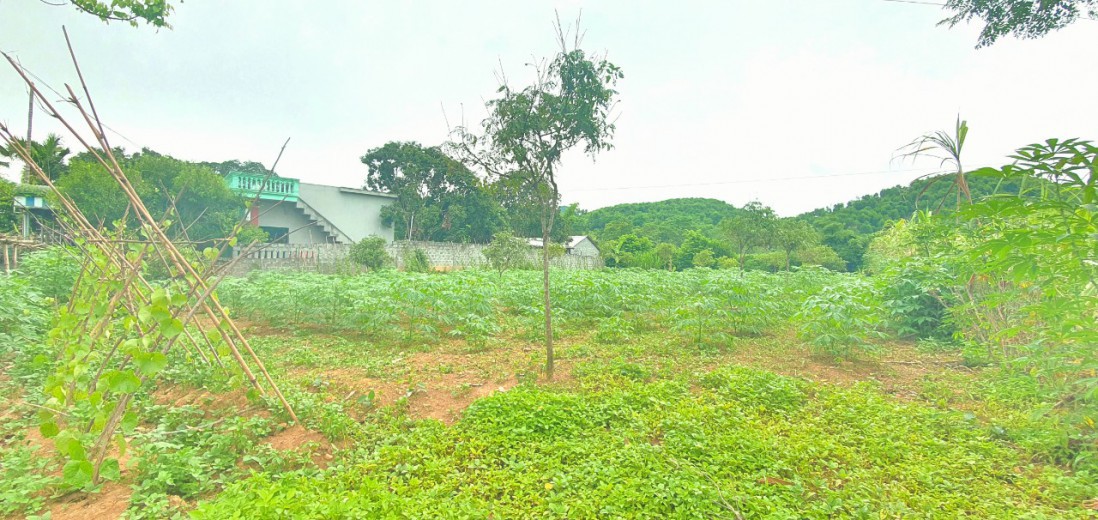 CHÍNH CHỦ BÁN 900m KHU VỰC KHOÁNG NÓNG KIM BÔI, GIÁP ĐƯỜNG LỚN,GIÁ ĐẦU TƯ.