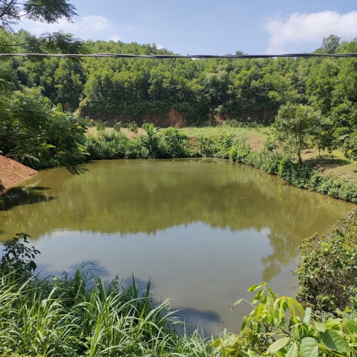 BÁN ĐẤT LƯƠNG SƠN 5000m có 300m ĐẤT Ở VIEW CÁNH ĐỒNG,NÚI SẴN AO, NHÀ CẤP 4 GIÁ RẺ.