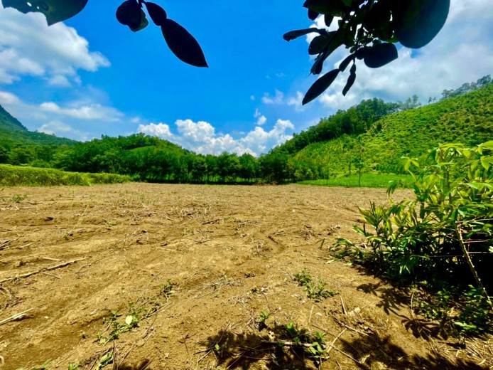 Cần bán 4100m đất có thổ cư giá rẻ tại Đà Bắc Hòa Bình, tiềm năng sinh lời khủng