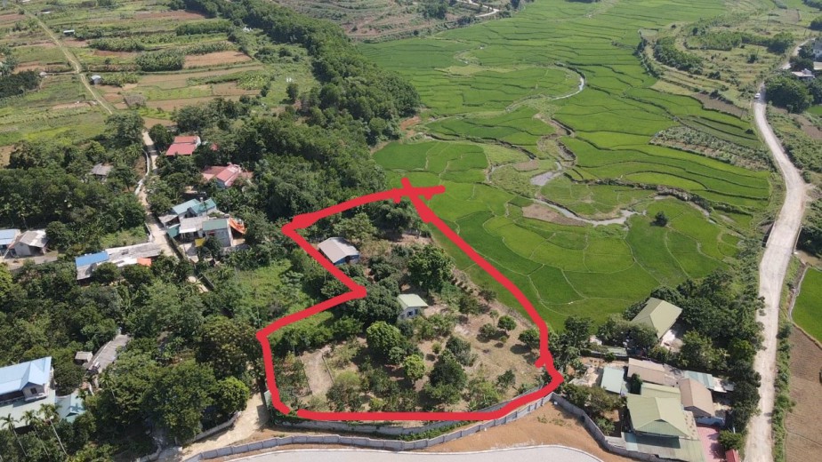Bán đất Lương Sơn, Hòa Bình 3634m có 400m thổ cư, sẵn khuôn viên, view cánh đồng giá nhỉnh 6 tỷ.