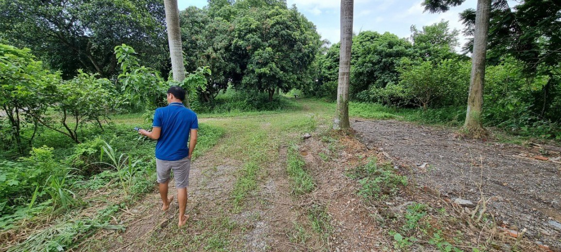 BÁN ĐẤT LƯƠNG SƠN SIÊU PHẨM 1000M GẦN TRUNG TÂM VIEW CÁNH ĐỒNG GIÁ HƠN 2,XTY.