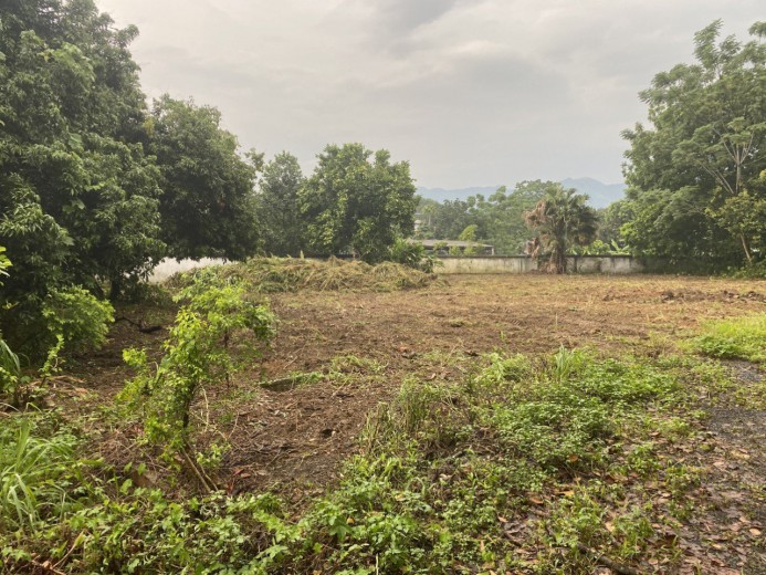 BÁN ĐẤT LƯƠNG SƠN SIÊU PHẨM 1000M GẦN TRUNG TÂM VIEW CÁNH ĐỒNG GIÁ HƠN 2,XTY.