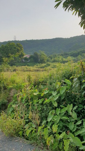 Bán 7200m.200ont đất đường rộng tại Hòa Sơn - Lương Sơn - Hòa Bình