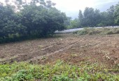 SIÊU PHẨM HƠN 1000M TẠI ĐỒNG SẼ- NHUẬN TRẠCH - LƯƠNG SƠN - HÒA BÌNH.