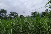 Cần bán lô đất nhỏ nhỏ xinh xinh rộng 700m2 có 200 tc tại Hợp Phong Cao Phong Hòa Bình. View siêu thoáng.