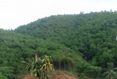 Tìm Chủ Mới Cho lô 1.6 ha có 400 ont tại long Sơn. Lương Sơn