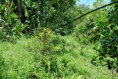 Bán 1000m View cánh đồng thoáng mát tại Lương Sơn, Hoà Bình giá siêu rẻ!