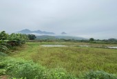 Bán đất xã Minh Quang Ba vì Hà Nội diện tich rộng 3600m2.