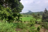 Bán nhanh 3600m khuôn viên sẵn view cánh đồng tại Lương Sơn