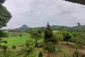 Bán nhanh 3634m tại  Lương Sơn khuôn viên nhà vườn đẹp sát cánh đồng
