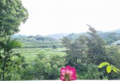 Bán đất Lương Sơn, Hòa Bình 3634m có 400m thổ cư, sẵn khuôn viên, view cánh đồng giá nhỉnh 6 tỷ.