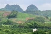 Bán 7559m đất view núi đồi cao thoáng giá chỉ 1.1 tỷ tại Cao Phong - Hòa Bình