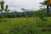 Bán gấp mảnh đất 1360m Full Thổ cư View núi non cực đẹp tại Kim Bôi - Hòa Bình