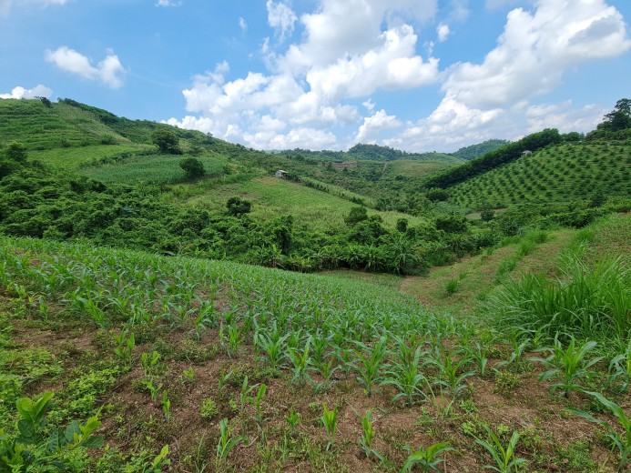 CẦN BÁN LÔ ĐẤT 3000M RSX,ĐỊA THẾ BẰNG PHẲNG,VIEW CAO THOÁNG TẠI CAO PHONG-HÒA BÌNH